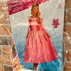 Princess Aurora Costume